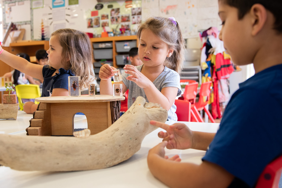 East Tamaki childcare