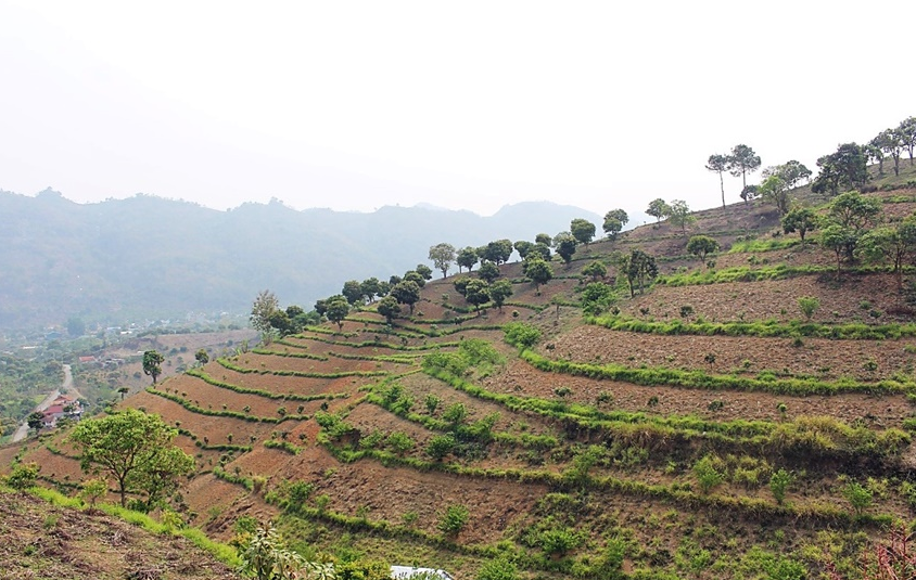 Farm property insurance