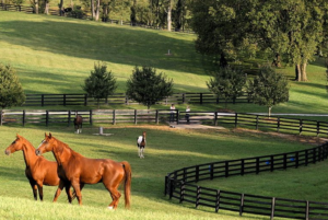 Farm property insurance