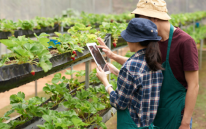 farm traceability software