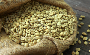 coffee beans for sale