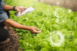 Farm Traceability Software