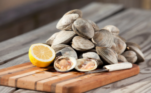 Littleneck clams