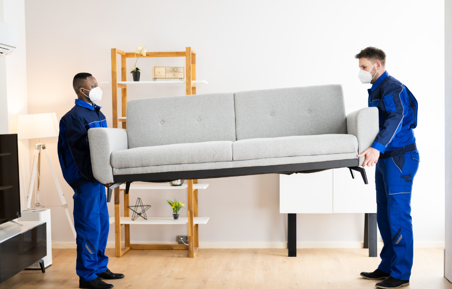 international movers NZ to Australia