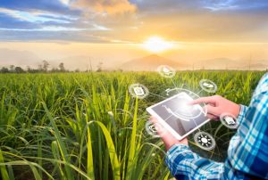 agriculture software
