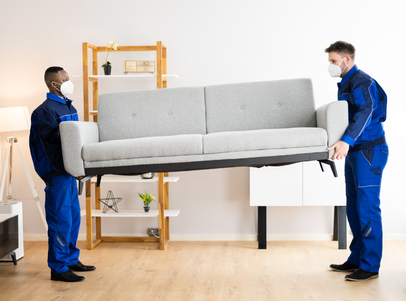 NZ to Australia moving